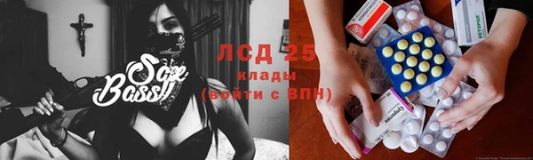 индика Дубовка