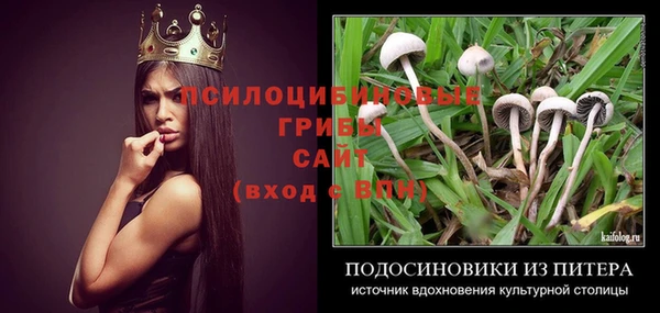спайс Няндома