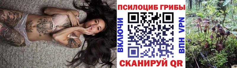 Псилоцибиновые грибы мухоморы  даркнет сайт  Райчихинск 